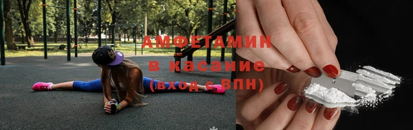 гидра Ельня