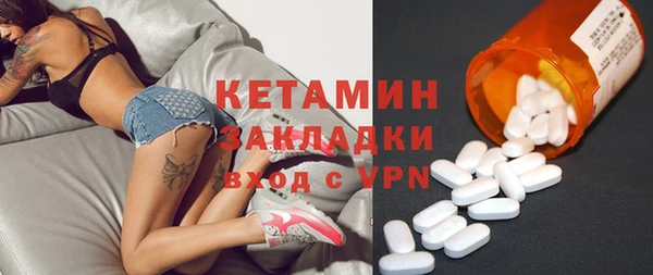 гидра Ельня