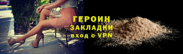 гидра Ельня