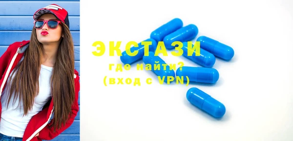 гидра Ельня