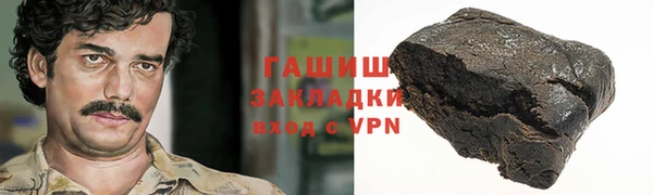 гидра Ельня