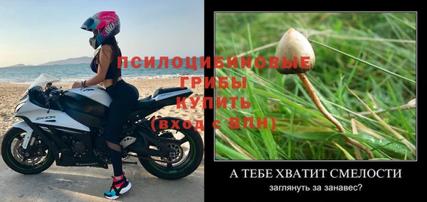 apvp Дмитров