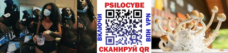 Купить закладки  Нязепетровск  Галлюциногенные грибы мухоморы 